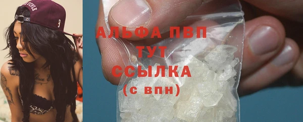 крисы Баксан