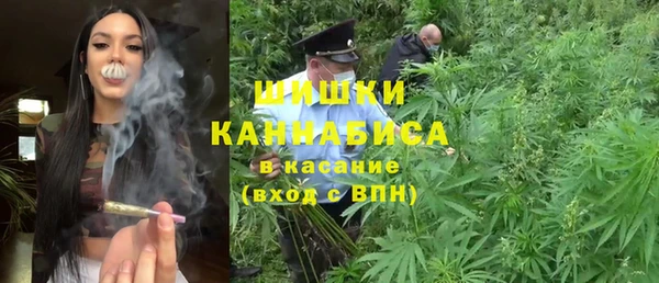 крисы Баксан