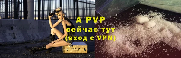 крисы Баксан