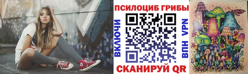 Галлюциногенные грибы мицелий  купить наркотик  Гай 