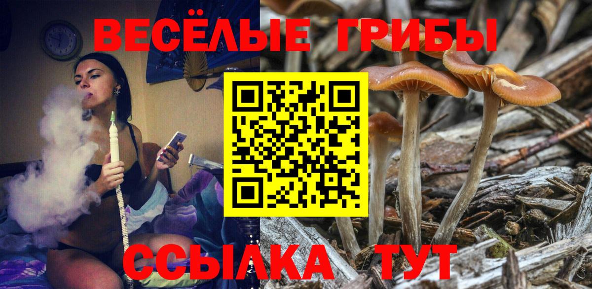 Псилоцибиновые грибы GOLDEN TEACHER  Галлюциногенные грибы мицелий  Вход с VPN  Гай 