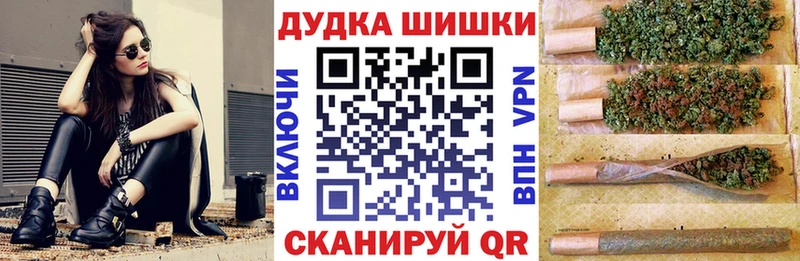 Каннабис SATIVA & INDICA  Гай 