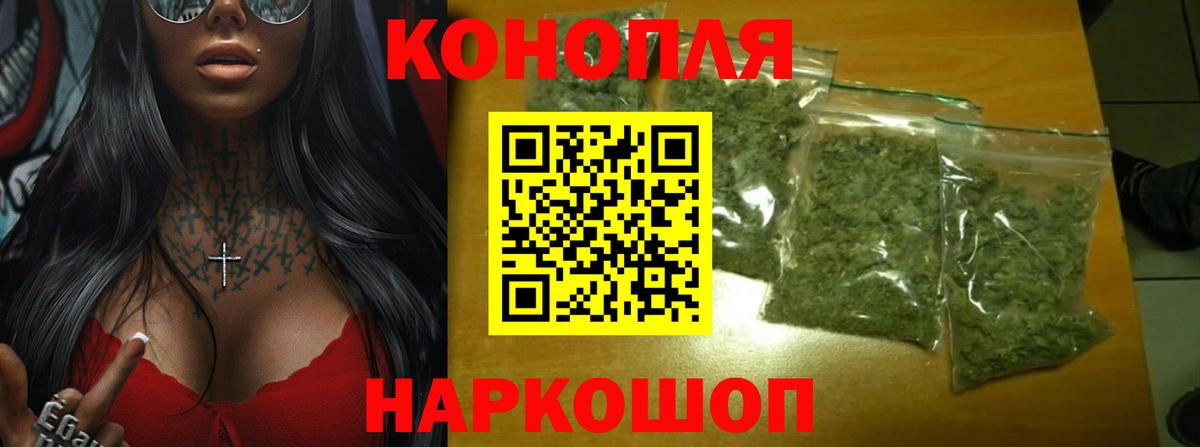 Каннабис индика Гай